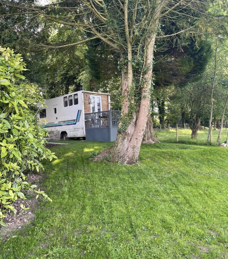 Dobbin The Horse Box In The District Holiday home