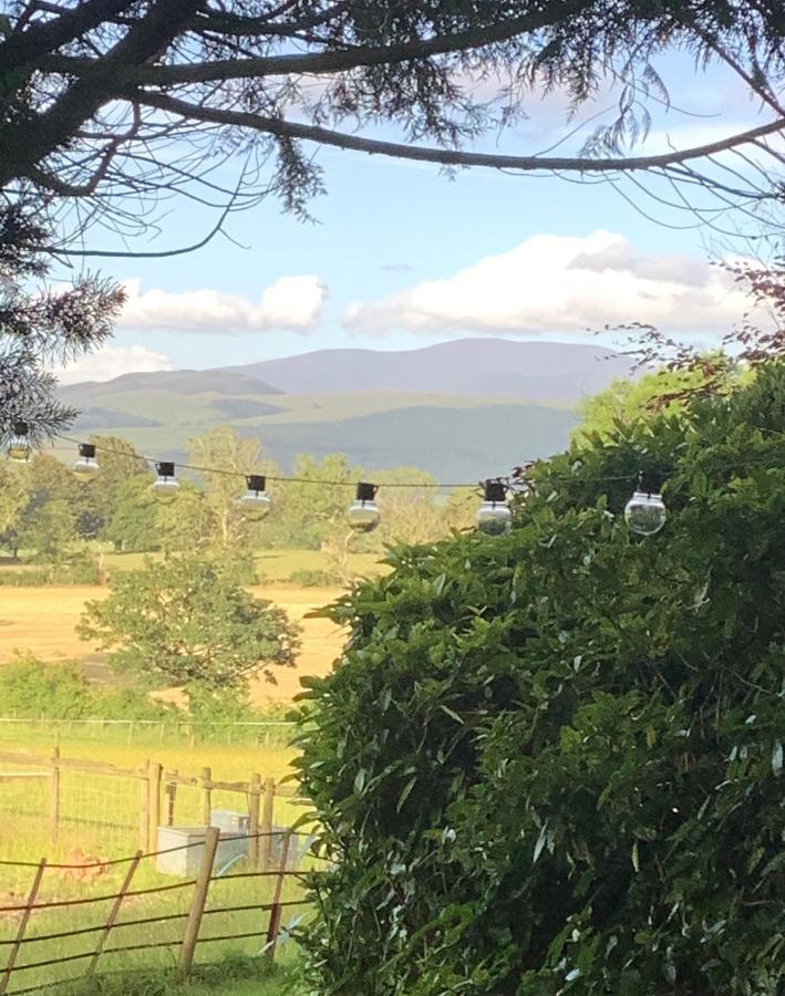 Dobbin The Horse Box In The District Holiday home *
