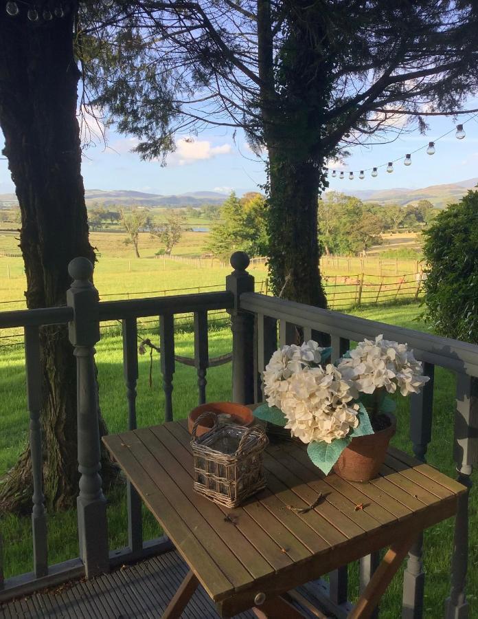 Dobbin The Horse Box In The District Holiday home *